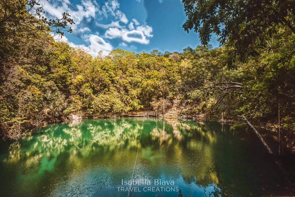 A lush green forest surrounds a tranquil, reflective lake under a clear blue sky, creating a serene and inviting natural scene.