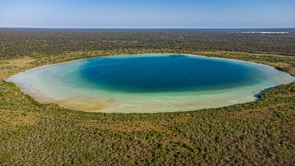 Aerial view of the stunning blue Laguna Kaan Luum surrounded by lush greenery, with no people or buildings visible in the vicinity.