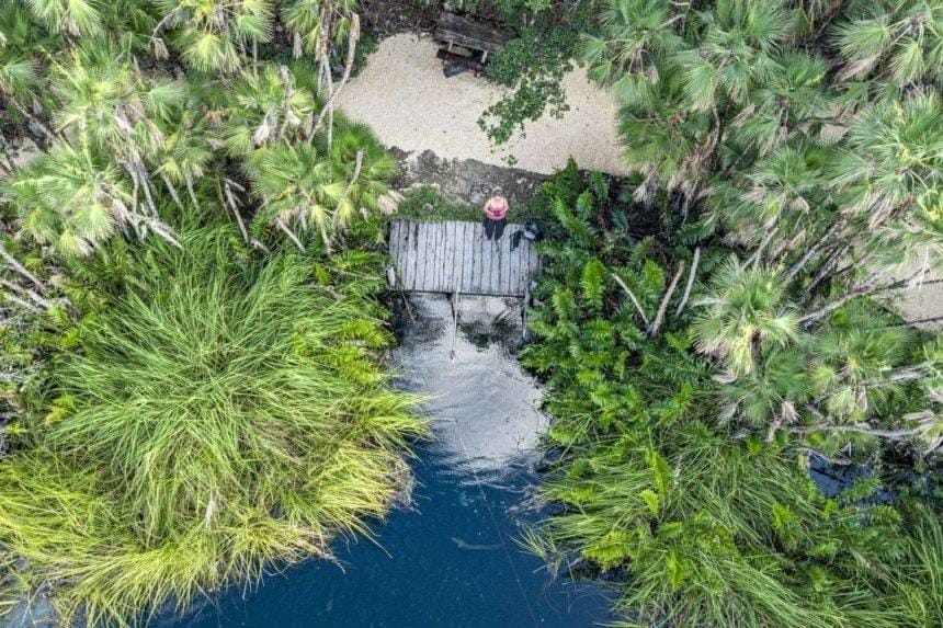 me flying the drone surrounded by lush tropical vegetation and cenote