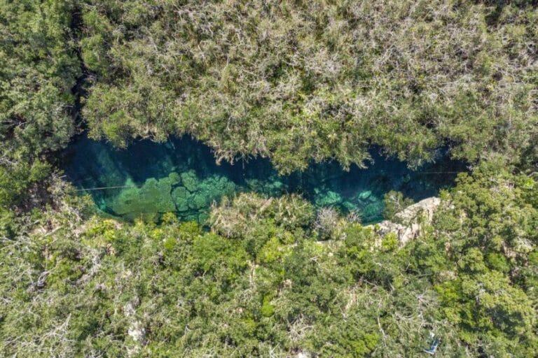 A tranquil, long shaped open-air cenote surrounded by lush tropical vegetation, featuring crystal-clear turquoise water.