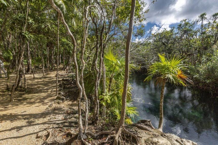 Cenote Escondido side path