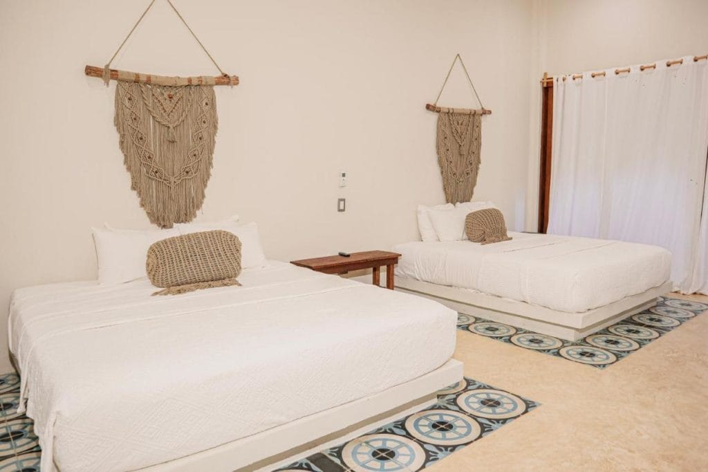 Orchid house rooms