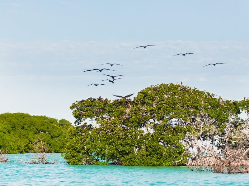 Sian Ka'an biosphere reserve
