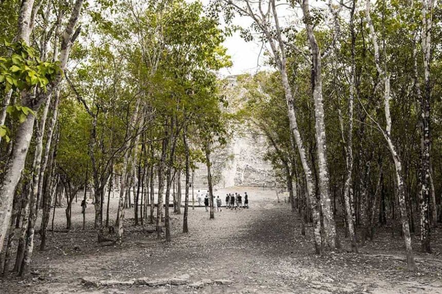 coba ruins