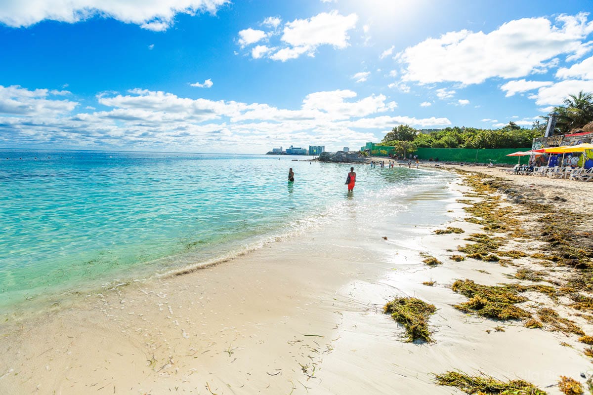 A sunny beach with clear water and two people walking. A distant coastline with buildings. Seaweed scattered along the sandy shore.