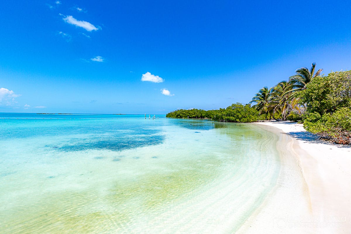 Pristine beach with turquoise water, white sand, and lush greenery under a clear blue sky. No landmarks or buildings visible, serene tropical scene.