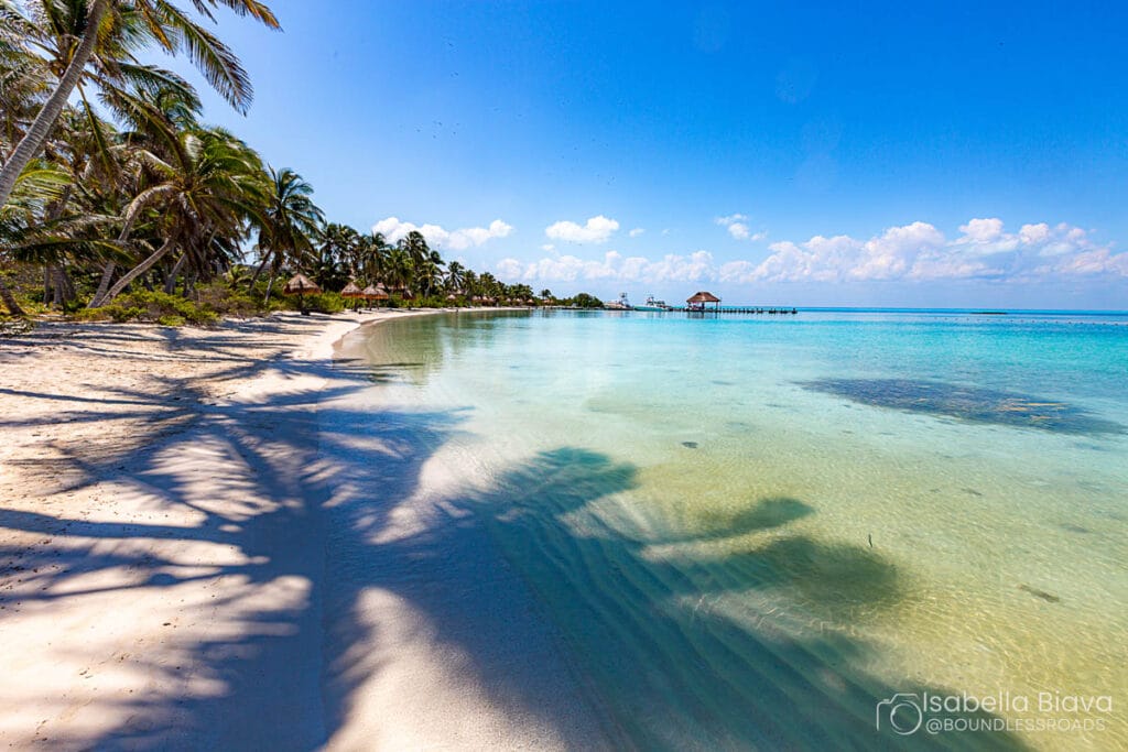 A serene beach scene with clear turquoise water, palm trees casting shadows, and a distant pier under a bright blue sky.