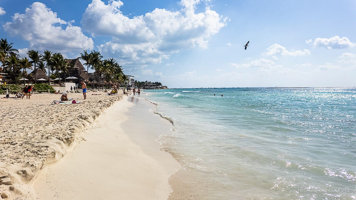 A sunny beach scene with people relaxing along the shore, palm trees, blue ocean waves, and a bird flying in the clear sky.