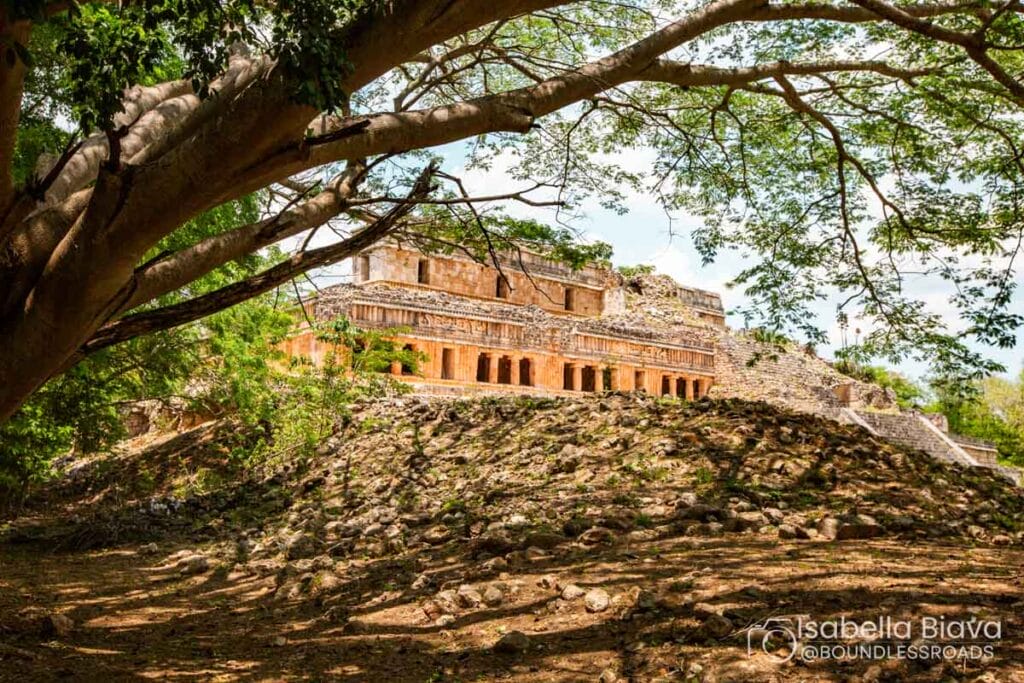 A sprawling Mayan ruin sits under a large tree canopy, featuring intricate stone architecture and surrounded by rocky terrain.