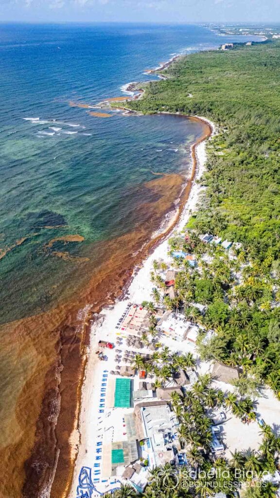 Aerial view of a tropical coastline with lush greenery, beach huts, and clear blue water. Palm trees and lounge chairs line the sandy shore.