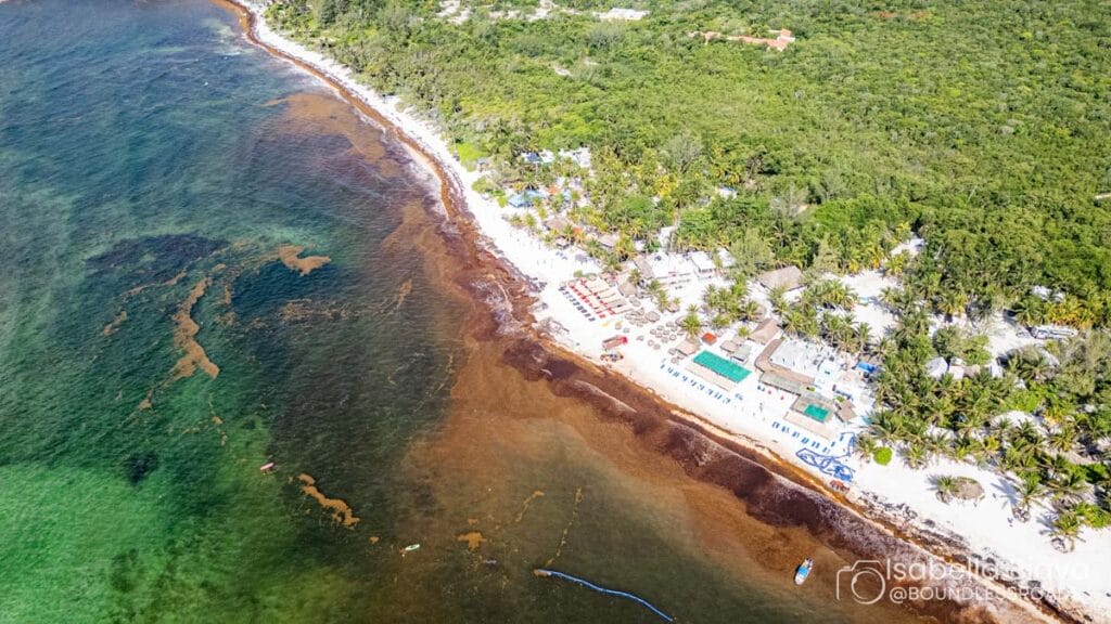 Aerial view of a coastal area with a lush green forest, sandy beach, and waterfront structures. Calm sea with visible seaweed.
