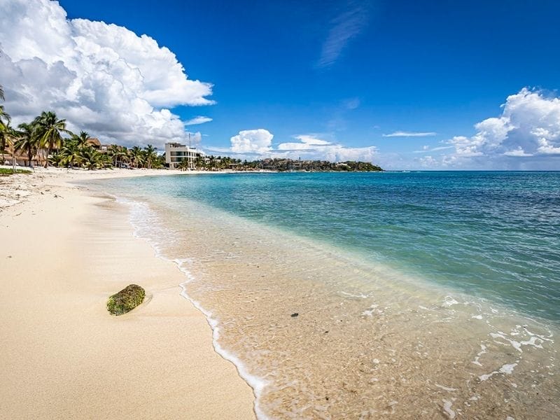 Tropical beach with clear blue water and palm trees.